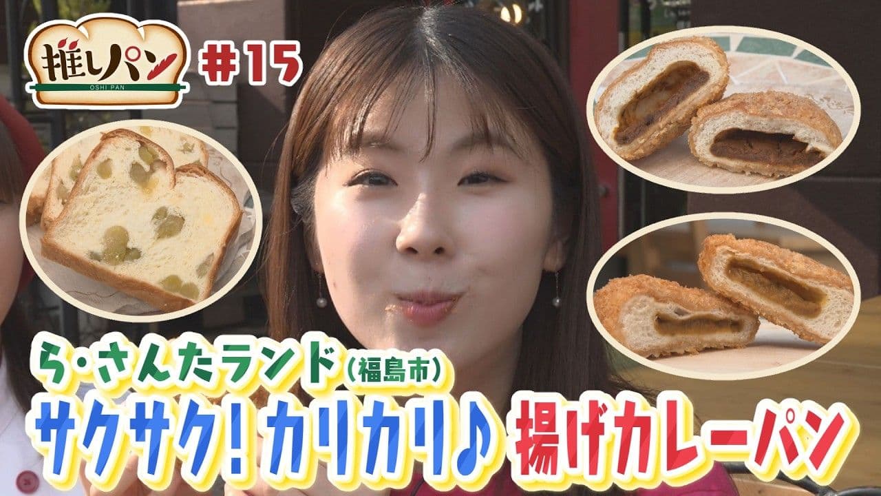 【推しパン#15】福島市 ら・さんたランド サクサク!カリカリ♪揚げカレーパン
