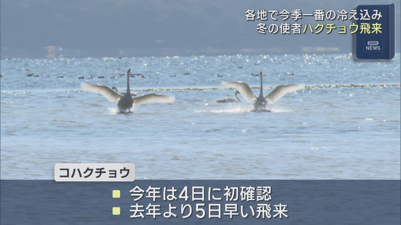 冬の使者ハクチョウ飛来 各地で今季一番の冷え込み