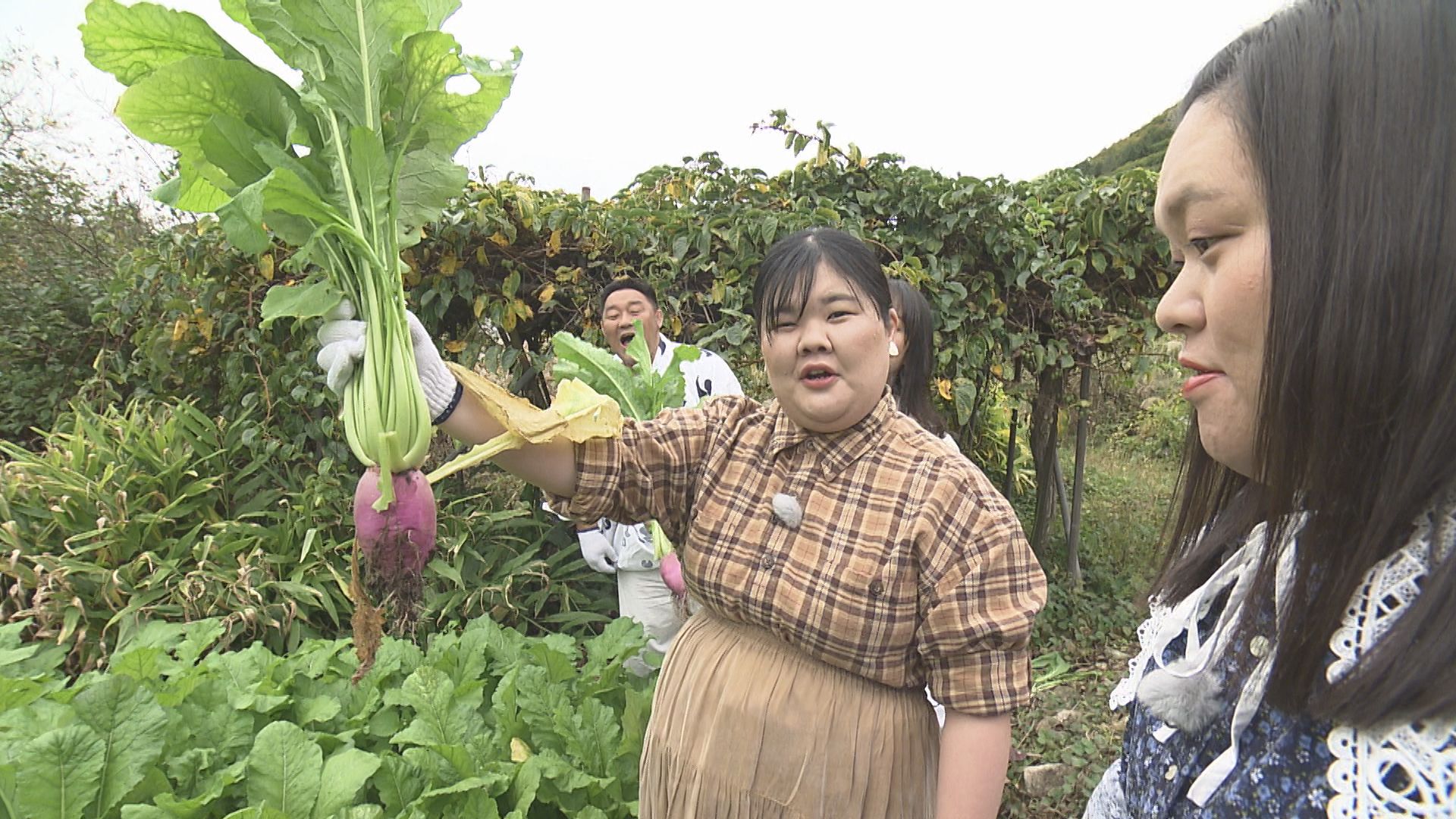 南会津町の赤かぶの甘酢漬け